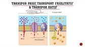 FARMAKOLOGI - Mekanisme Absorpsi Obat