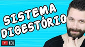 SISTEMA DIGESTÓRIO - FISIOLOGIA - Aula | Biologia com Samuel Cunha