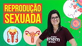 REPRODUÇÃO SEXUADA: VANTAGENS E DESVANTAGENS | Resumo de Biologia para o Enem