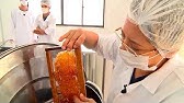 Tela Rural 2018 .31 - Matéria processamento mel