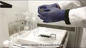 Porosity determination using mercury intrusion