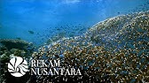 Cerita Laut Indonesia