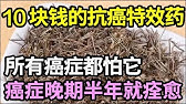 肺癌晚期被判活不过2个月，半年后癌症完全康复！这个抗癌“特效药”只卖10块钱，却能杀死体内99%的癌细胞，一辈子都不患癌！【本草养生大智慧】