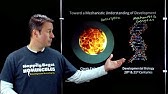 Online Developmental Biology: Overview of the Field