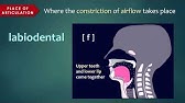 Introduction to Articulatory Phonetics (Consonants)