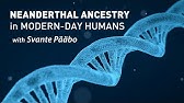 Neanderthal Ancestry in Modern-Day Humans with Svante Pääbo