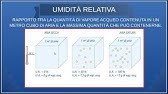 L'Umidità atmosferica: umidità assoluta, relativa, nebbia, nuvole e foschia