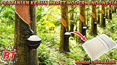 PROSES PERTANIAN KARET MODERN INDONESIA | KARET ALAM DARI AWAL SAMPAI PRODUK JADI