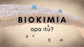 Apa itu Biokimia?