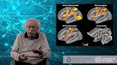 Capire gli altri: basi neurali - Prof. Giacomo Rizzolatti