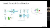 Dr. Anoushka Joglekar, NY Genome Center, presents seminar at UGA Bioinformatics