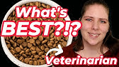 Choosing the BEST Food for Your Pets | Vet's Voice (Part 1)