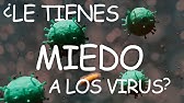 ¿MIEDO A LOS VIRUS? ¿CUÁL ES LA IMPORTANCIA DE LOS VIRUS? NUEVOS DESCUBRIMIENTOS