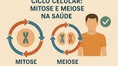 Ciclo Celular Mitose e Meiose na Saúde