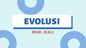 EVOLUSI : BIOLOGI KELAS 12 SMA