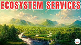 What Are Ecosystem Services?