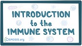 Introduction to the immune system