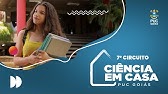 O Trabalho do Psicólogo nas Políticas Públicas dentro das Redes e com Visitas Domiciliares.