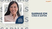 Sarnas em Cães e Gatos | De Vet para Vet | PremieRpet