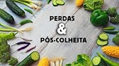 PERDA E PÓS-COLHEITA