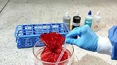 LABORATORIO 11. DIÁLISIS