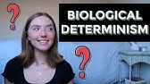 What Is Biological Determinism?! Definition, Examples, Movements, Etc. | Biological Anthropology