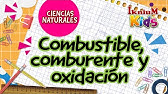 Combustible, Comburente y oxidación - IkniuM Kids