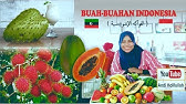 🇱🇾🌏🇮🇩(الفواكه الإندونيسية) Buah-Buahan Indonesia versi Arab. البيان : الدكتورة سالمة الليبية .