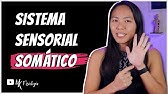 SISTEMA SENSORIAL SOMÁTICO (SOMATOSSENSORIAL): TATO E TEMPERATURA | MK Fisiologia