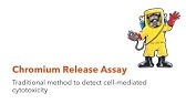 PBMC Mediated Cytotoxicity Using Celigo Image Cytometry