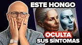 ELIMINA EL HONGO CÁNDIDA con ESTOS PASOS | ¡GUÍA COMPLETA!