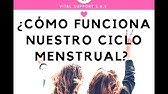 ¿CÓMO FUNCIONA NUESTRO CICLO MENSTRUAL?