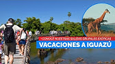 IGUAZÚ, el destino al que todos queremos volver!!!