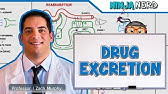 Pharmacokinetics | Drug Excretion