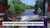 Insight With Desi Anwar - Lestarikan Lahan Basah untuk Kehidupan