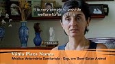 ANIMAIS SERES SENCIENTES