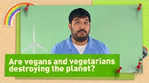 Are vegans and vegetarians destroying the planet?