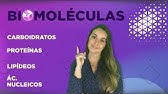 BIOMOLÉCULAS l Prof. Louise Medeiros