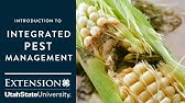 Introduction to Integrated Pest Management