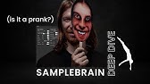 Aphex Twin's samplebrain - deep dive (more playing, sampling)