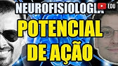 Potencial de Ação (despolarização) e de Membrana - Neurofisiologia/Biologia Celular - VideoAula 130