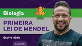 Primeira lei de Mendel - Biologia - Ensino Médio