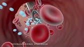 How Medications Get Absorbed By Your Body