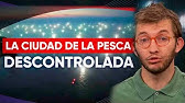Pesca ilegal en la milla 200: Cientos de barcos se quedan con la riqueza del Mar Argentino