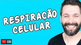 RESPIRAÇÃO CELULAR - Aula completa | Biologia com Samuel Cunha