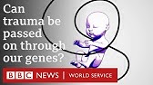 Epigenetics: Can we change our genes? - BBC World Service