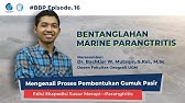 Bentanglahan Marine Parangtritis [Proses Pembentukan Gumuk Pasir] | #BelajarBersamaPGSP​ Ep.16