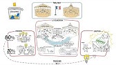 Dessine-moi l'éco : Qui fait la loi en France ?