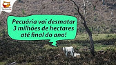 VÍDEO RESPOSTA SOBRE BETS E CAPITALISMO FINANCEIRO 26 de setembro de 2024