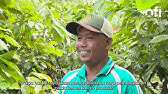 Pemangkasan Bentuk